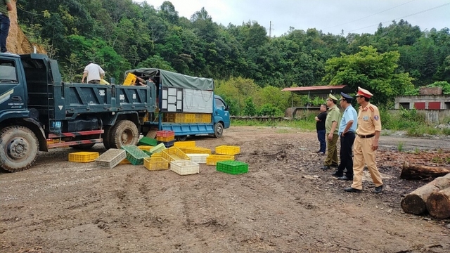 Cao Bằng: Siết chặt quản lý tuyến biên giới dịp cuối năm