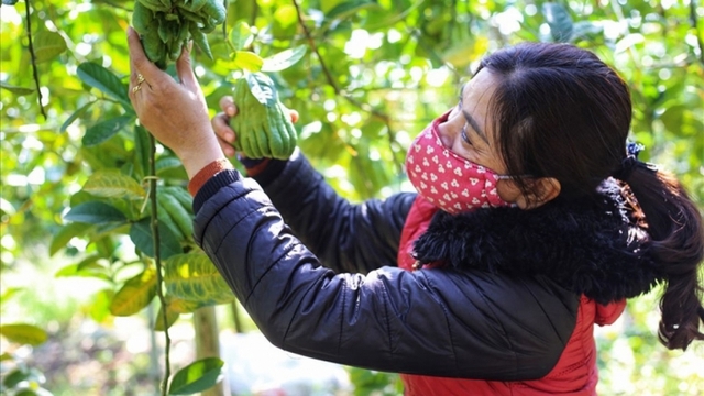 Craft villages in Hanoi gear up for Lunar New Year festival