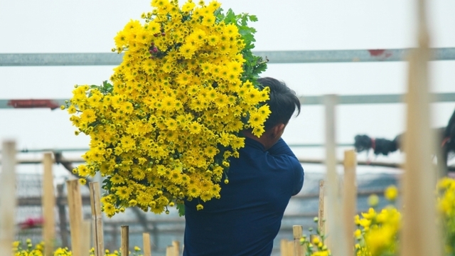 Preparations underway at Tay Tuu flower village ahead of Tet