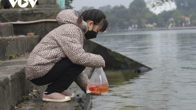Dân đã bớt “thả cá thả cả túi nilon”