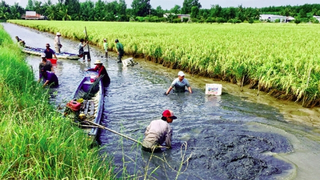 Mô hình tôm – lúa được đánh giá phát triển bền vững