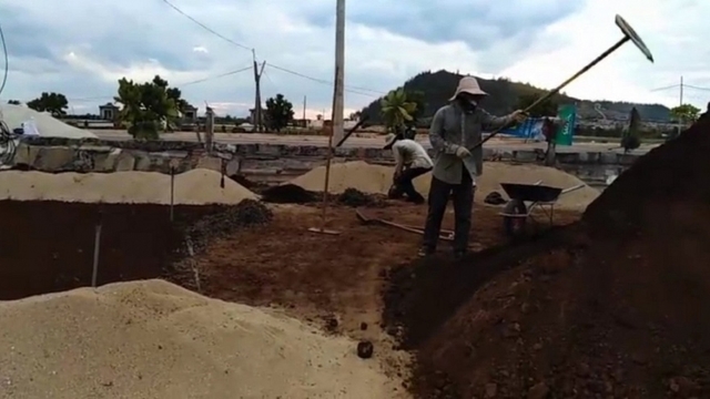 Nông dân Lý Sơn lo lắng vì thiếu cát trồng hành, tỏi