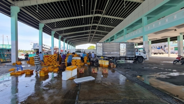 Lập chuyên án để đấu tranh bóc dỡ các đối tượng vi phạm để phòng, chống IUU
