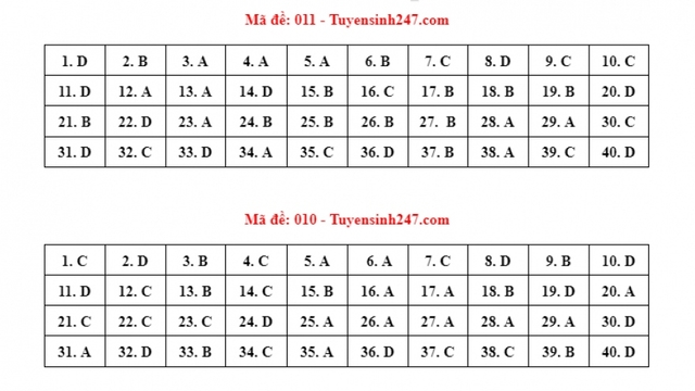 Chi tiết đáp án các mã đề thi môn Tiếng Anh kỳ thi tuyển sinh lớp 10 tại Hà Nội