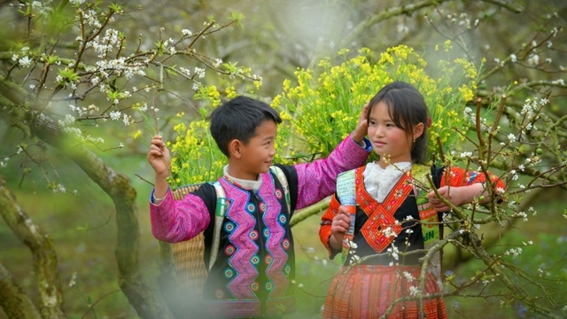 Vui xuân trên cao nguyên Mộc Châu