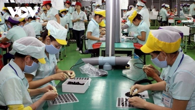 Giải pháp nào giải quyết quyền lợi cho hàng trăm nghìn lao động đang bị nợ BHXH