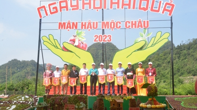 Cao nguyên Mộc Châu sôi động trong ngày hội hái quả