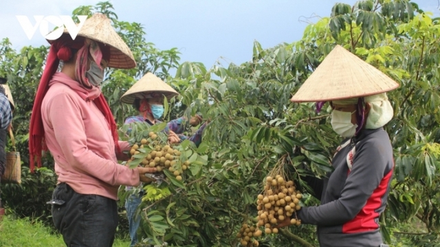 Sơn La phát triển chuỗi cung ứng thực phẩm an toàn