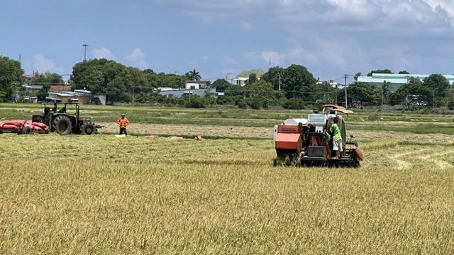 Liên kết vùng để phát huy thế mạnh phát triển nông nghiệp của từng địa phương