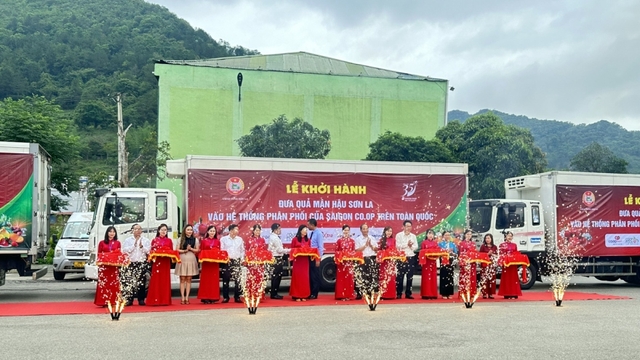 Saigon Co.op cam kết tiêu thụ mận hậu và nông sản Sơn La