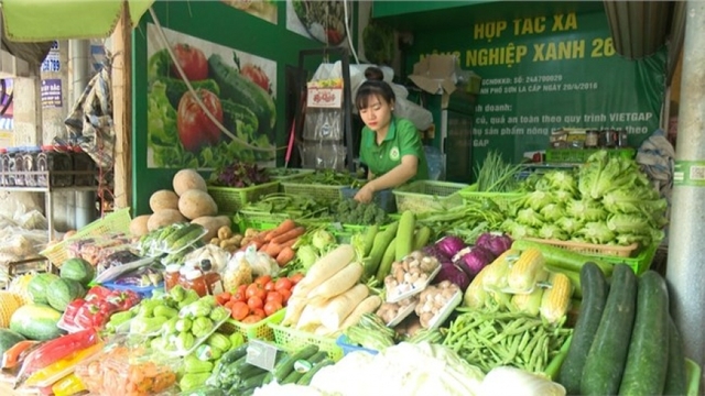 Nông dân tiêu thụ nông sản ổn định nhờ liên kết sản xuất