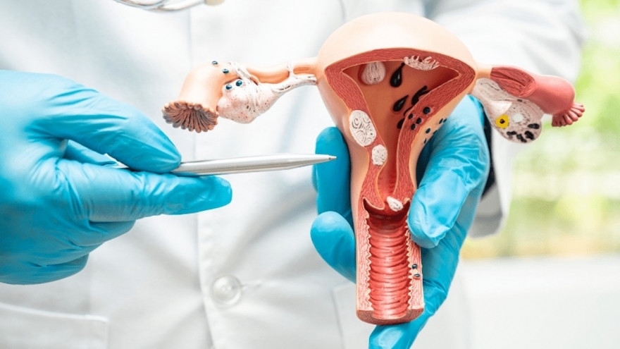 Viêm lộ tuyến cổ tử cung có thể mang thai được không?