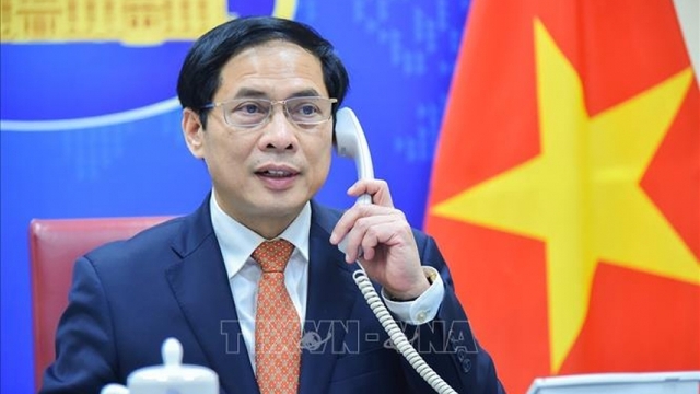 Phó Thủ tướng, Bộ trưởng Ngoại giao Bùi Thanh Sơn điện đàm với Phó Chủ tịch EC