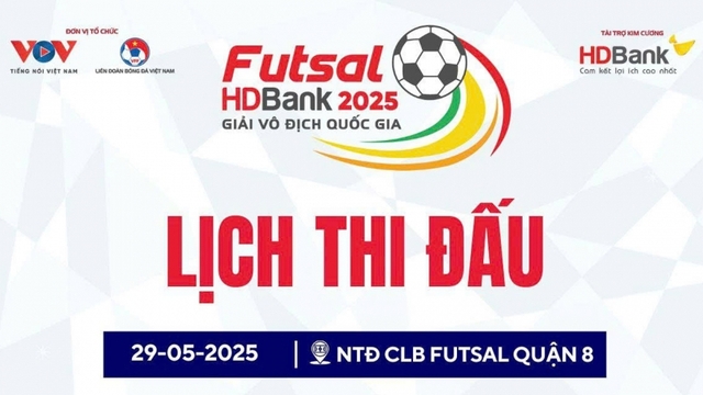 Lịch thi đấu bóng đá Việt Nam hôm nay 29/5