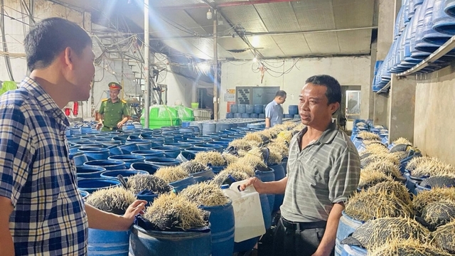 Nóng 24h: Chủ cơ sở sản xuất 348 tấn giá đỗ ủ hoá chất khai gì?