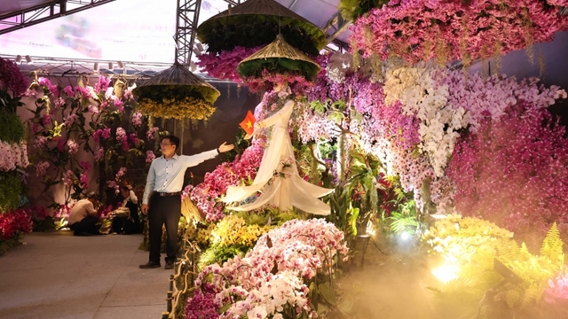 Festival Hoa Lan TP.HCM 2025: Kết nối văn hóa, du lịch với nông nghiệp đô thị