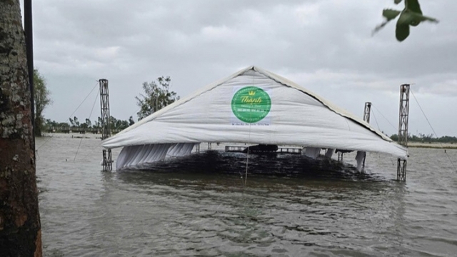 Chú rể Quảng Nam thẫn thờ nhìn rạp cưới ngập lưng chừng vì mưa lớn