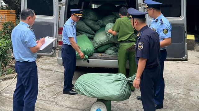 Cao Bằng thu giữ gần 123.000 kg nguyên liệu thuốc lá nhập lậu