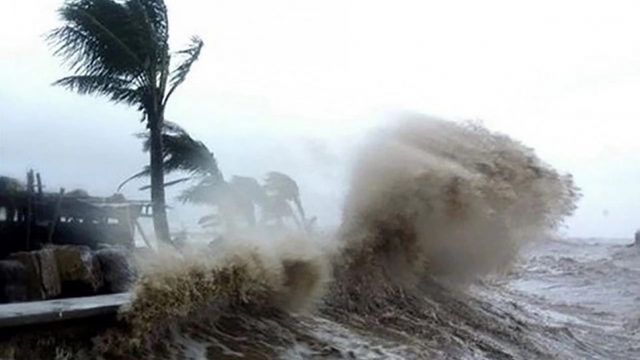 Dự báo năm 2025 sẽ có bao nhiêu cơn bão và áp thấp nhiệt đới?