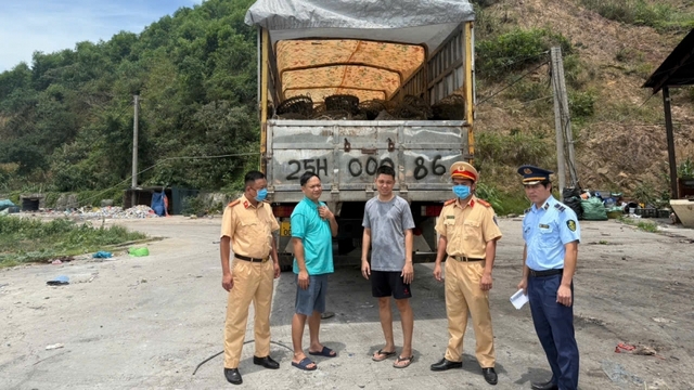 Quảng Ninh thu giữ 4 tấn hàu không rõ nguồn gốc