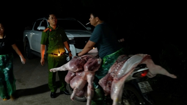 Đường dây giết mổ, tiêu thụ lợn bệnh tại Hà Nội: Những đối tượng nào sẽ bị xử lý?