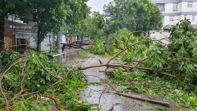 Bão số 5 làm 3 người chết, 10 người bị thương gây thiệt hại nặng về tài sản