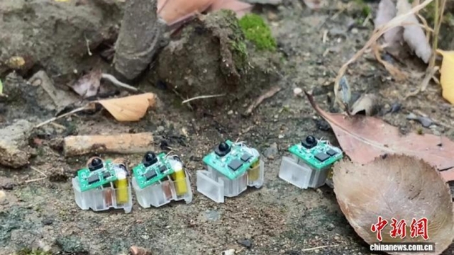 Trung Quốc chế tạo robot mềm siêu bền