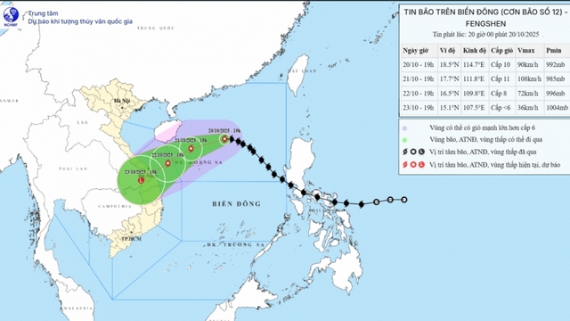 Bão số 12 cách Hoàng Sa khoảng 330km, giật cấp 12