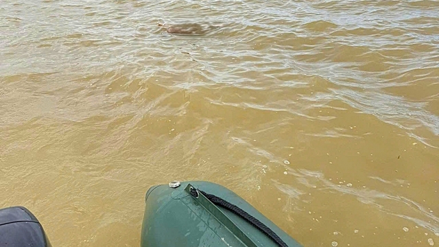 3 bố con mất tích, tìm thấy thi thể 2 bé gái trên sông Lam