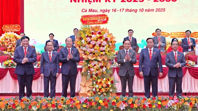 Danh sách Ban Chấp hành, Ban Thường vụ Tỉnh ủy Cà Mau nhiệm kỳ 2025-2030