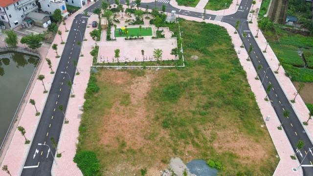 Có nên nâng tiền đặt cọc đấu giá đất lên 50% mức khởi điểm?