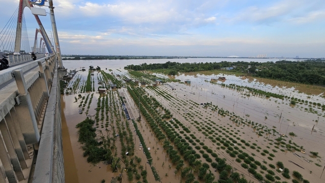Nước sông lên nhanh, người dân ven sông ở Hà Nội chật vật chạy lũ