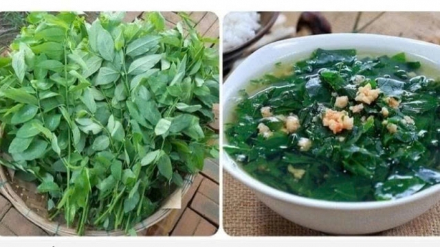 Rau ngót và những lợi ích bất ngờ cho sức khỏe