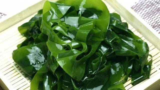 Rong biển - “siêu thực phẩm” từ đại dương tốt cho sức khỏe con người