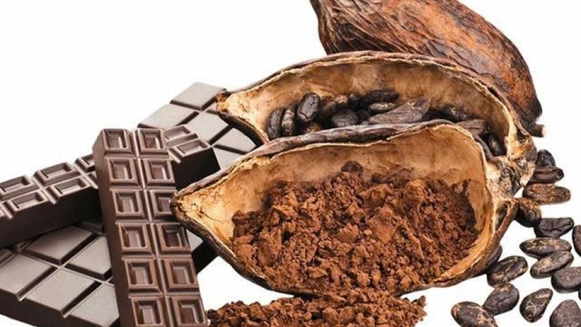 Ăn socola đen có giúp giảm cân không?