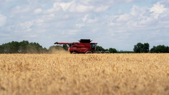 Mỹ - Trung hạ nhiệt căng thẳng, nông sản Mỹ vẫn khó trở lại thị trường tỷ dân