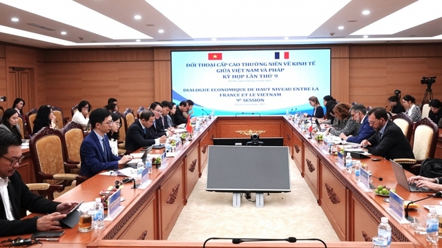 Đối thoại cấp cao thường niên về kinh tế Việt Nam - Cộng hoà Pháp