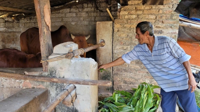 Trao sinh kế, vững niềm tin