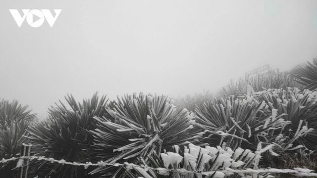 Gió mùa Đông Bắc: Bắc Bộ và Bắc Trung Bộ rét đậm