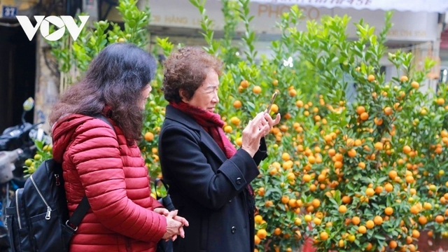 Miền Bắc có thể xuất hiện rét đậm, rét hại dịp Tết Nguyên đán 2026