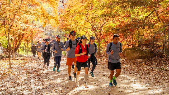 Tuần đi bộ đường dài Seoul chứng kiến lượng du khách nước ngoài tăng gấp 7 lần