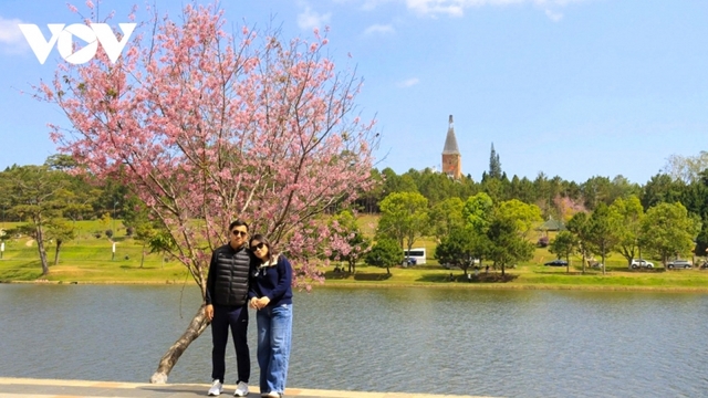 Khách Việt ưa chuộng du lịch trong nước dịp nghỉ Tết Dương lịch