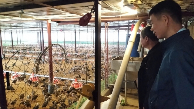 Thái Nguyên sẵn sàng nguồn cung thực phẩm cho thị trường Tết