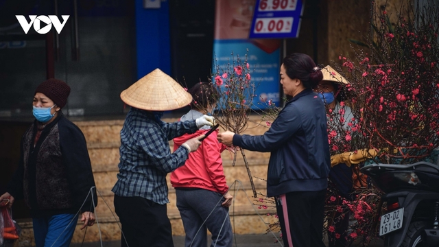 Hoa đào tươi thắm mang xuân về phố phường Hà Nội bất chấp Covid-19