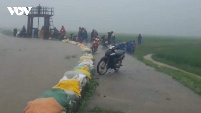 Thừa Thiên Huế, Quảng Trị, Đà Nẵng: Mưa lớn, hàng nghìn ha lúa và hoa màu bị hư hại