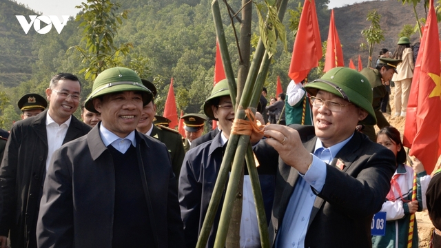 Chủ tịch Quốc hội: Người trồng rừng phải sống được từ rừng và giàu lên từ rừng