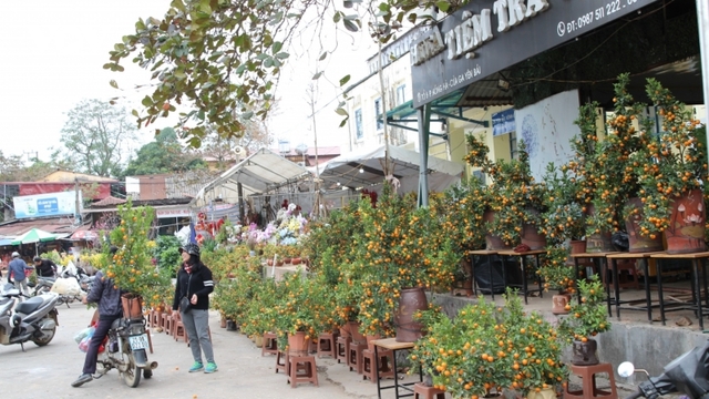 Nhộn nhịp thị trường hàng hóa ngày giáp Tết