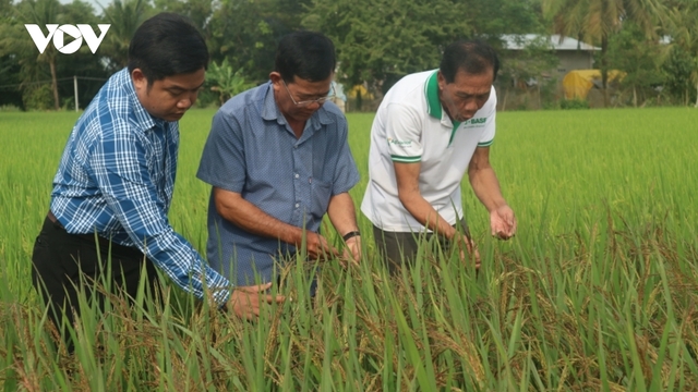 Đồng bào Khmer ở Sóc Trăng đoàn kết, giúp nhau phát triển kinh tế