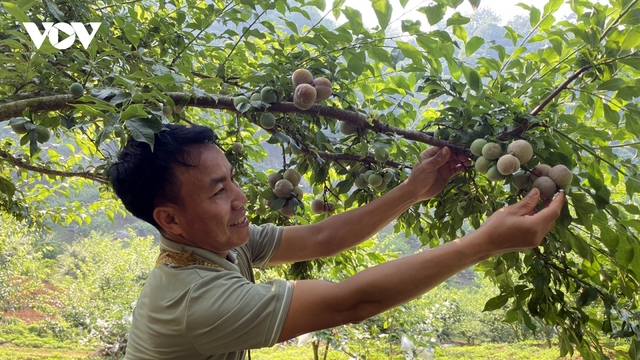 Chìa khoá để Sơn La đưa nông sản vươn xa