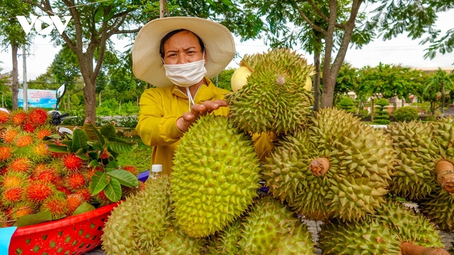 Việt Nam gia tăng lợi thế xuất khẩu trái cây, rau quả sang thị trường Trung Quốc